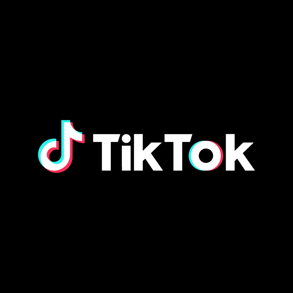 TikTok Brand Logo Design 3