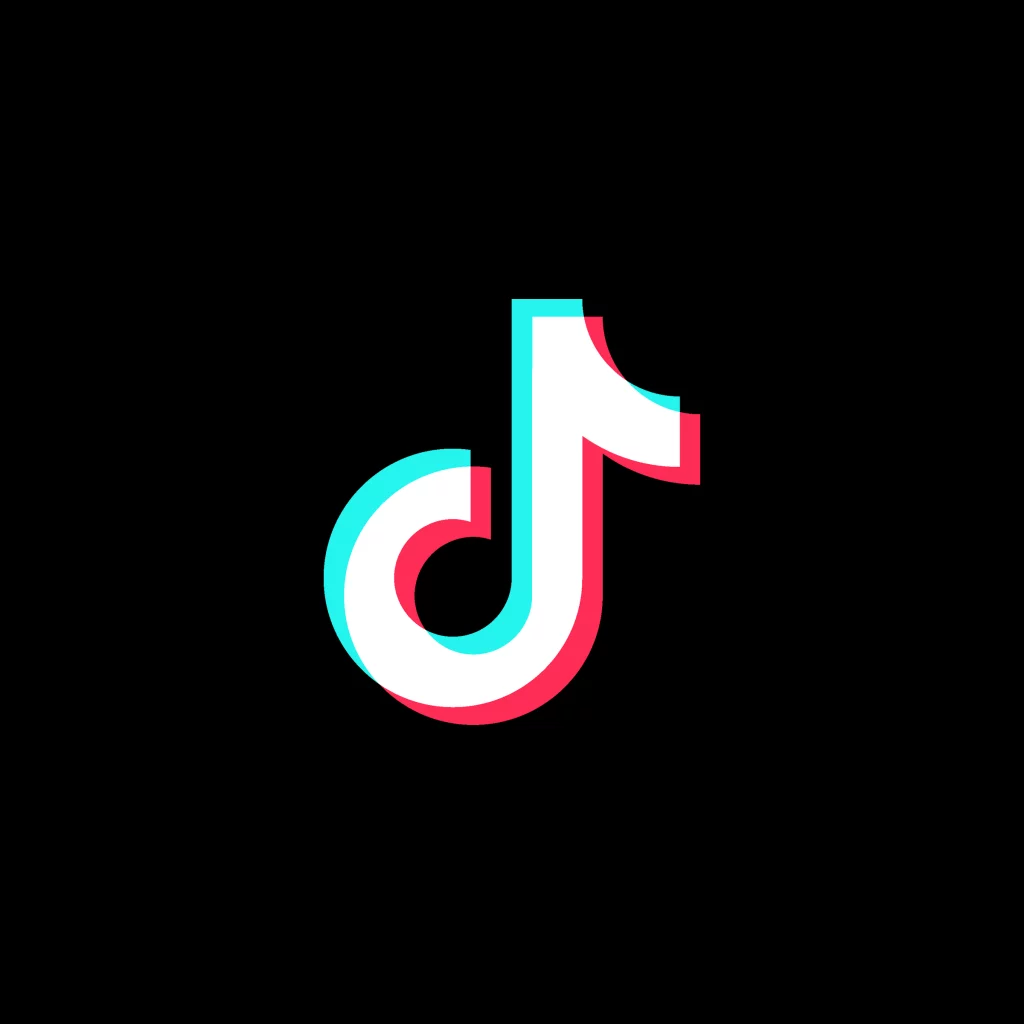 TikTok Brand Logo Design 2