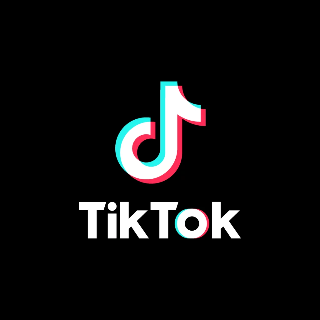 TikTok Brand Logo Design 1