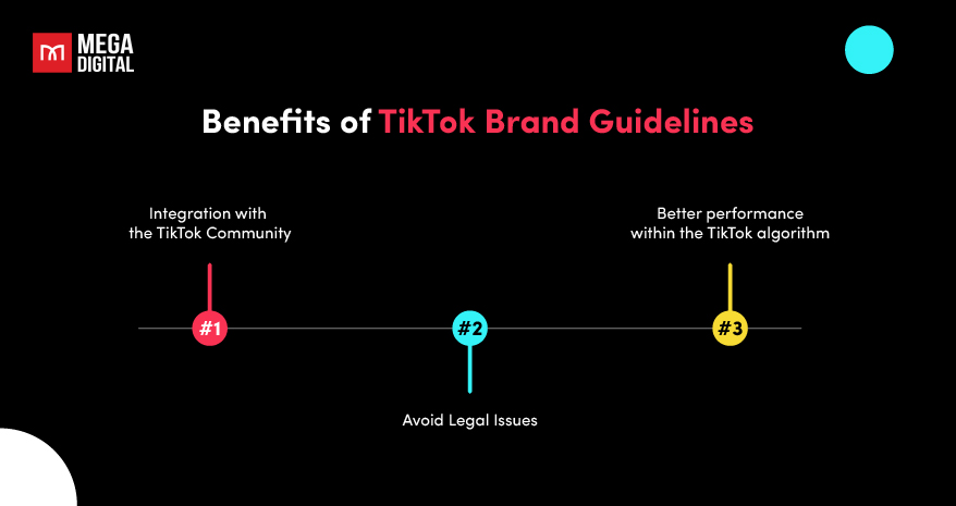 Using TikTok Brand Guidelines for Boosting Your Brand Identity