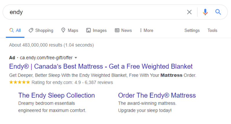 Google ads brand bidding case study_Endy