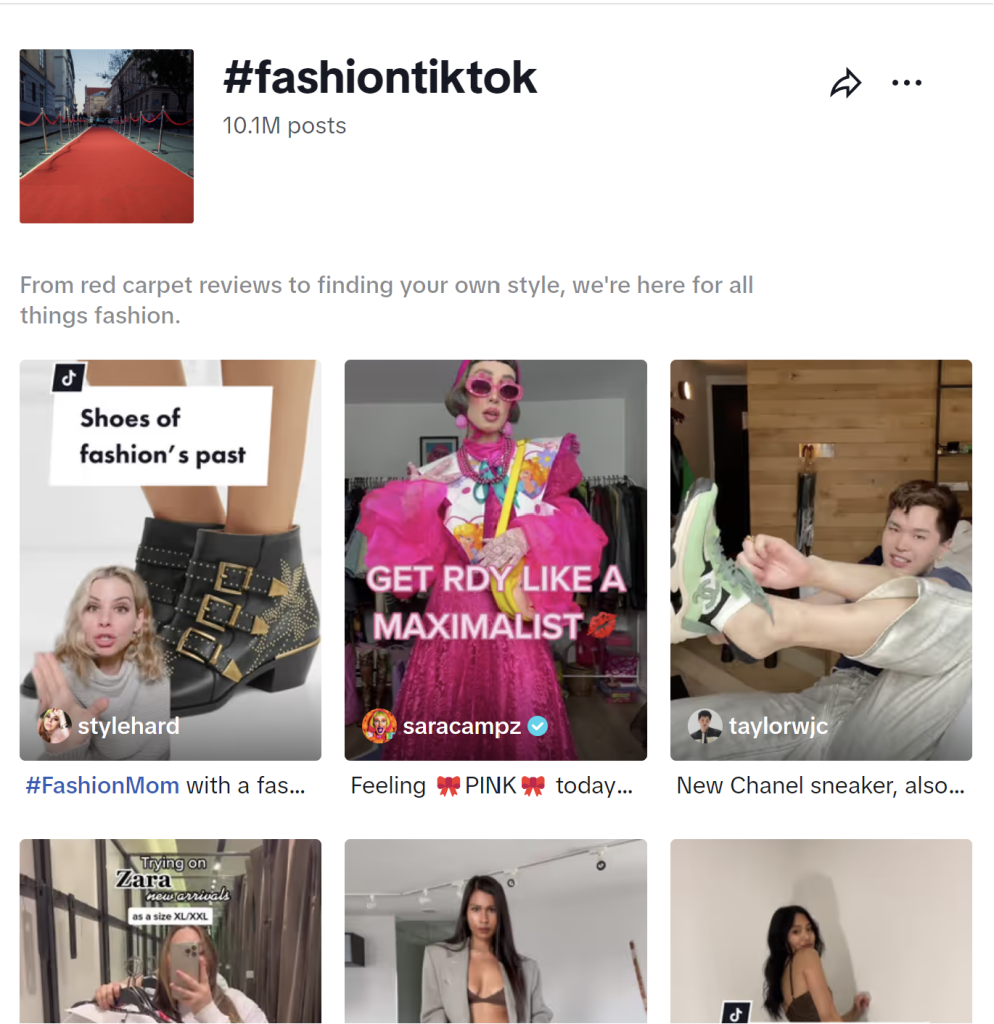 TikTok niche communities - fashiontok