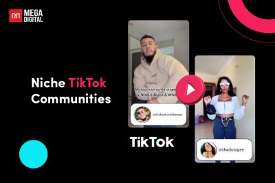 TikTok Niche Communities
