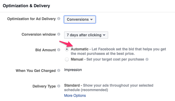 Facebook Bidding Strategy - Automated Bidding