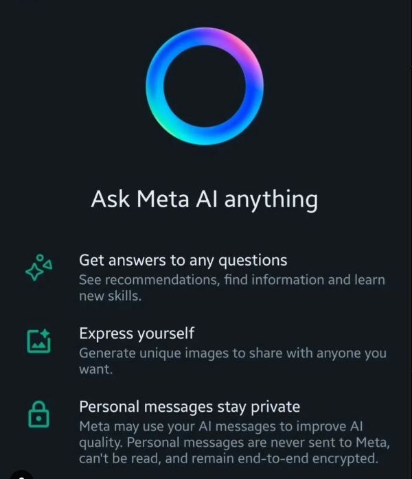 Ask Meta AI anything