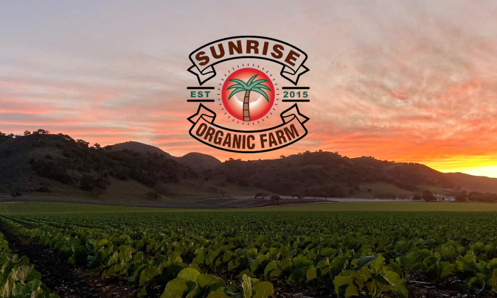Case study_Sunrise Organic Farm