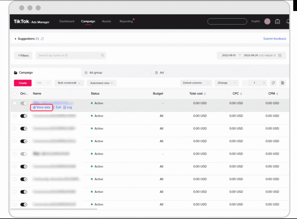 view data to check tiktok ads not delivering