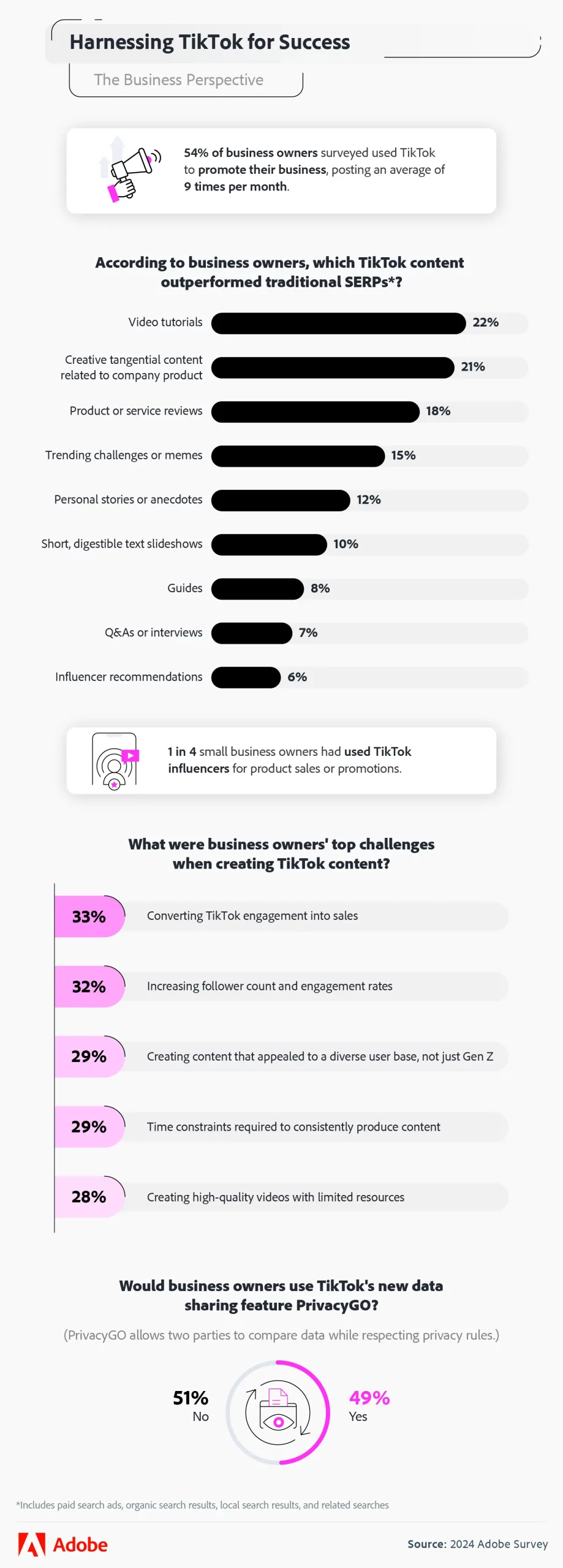 Harnessing TikTok for Success