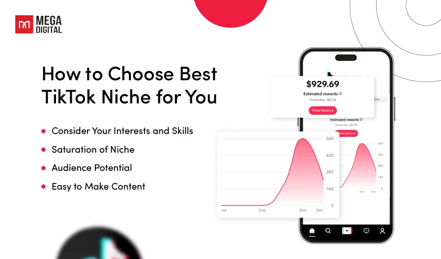 How to Choose Best TikTok Niche for You