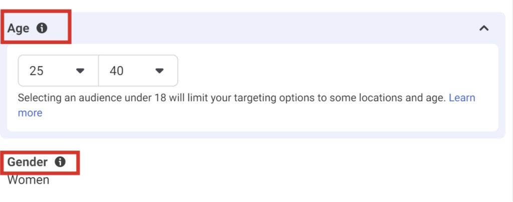 example demographic segmentation