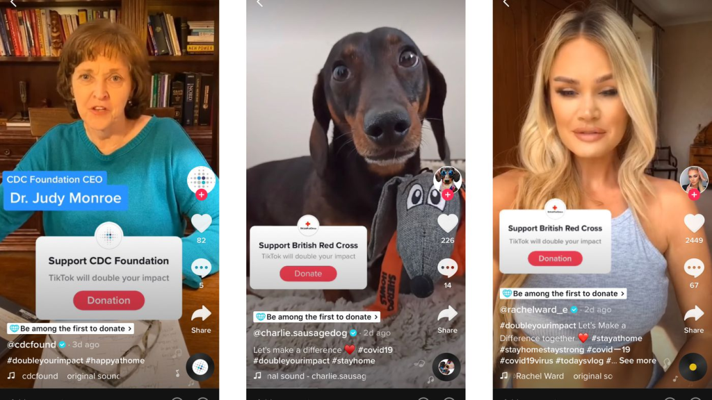 Why Nonprofit Organizations Should Use TikTok?