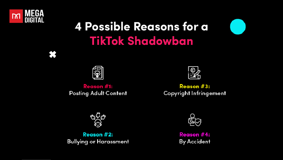 4 Possible Reasons for a TikTok Shadowban