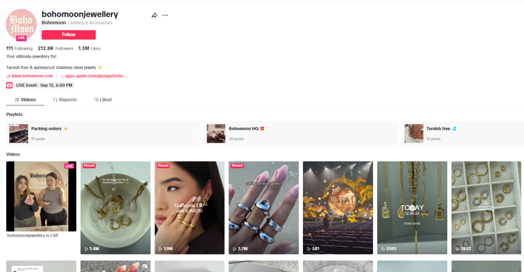 A Case Study of a Successful Etsy Shop on TikTok