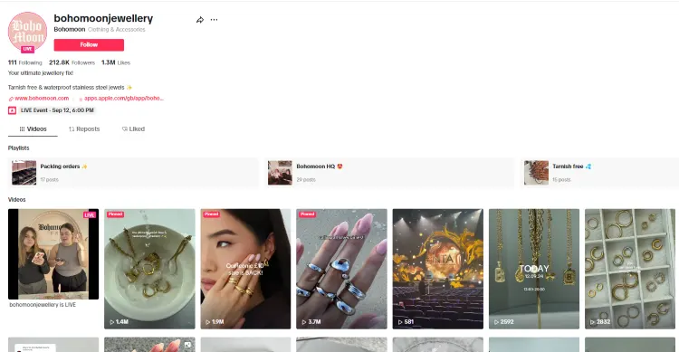 A Case Study of a Successful Etsy Shop on TikTok