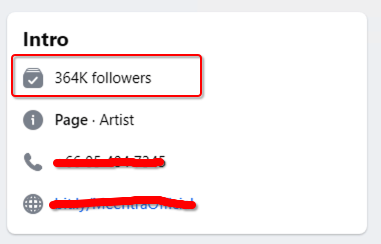 Facebook page followers