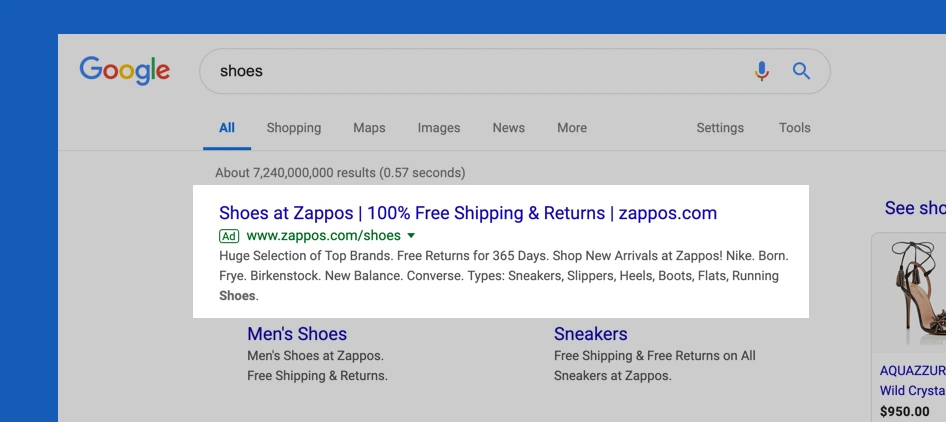 Zappos Google Ads for Ecommerce