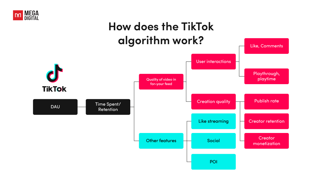 How does the TikTok algorithm work?