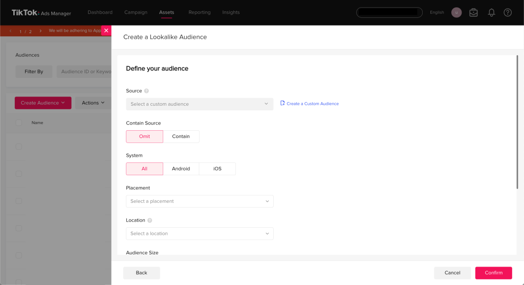 Define TikTok Lookalike audience