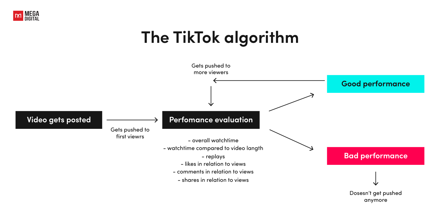 What is TikTok Algorithm?