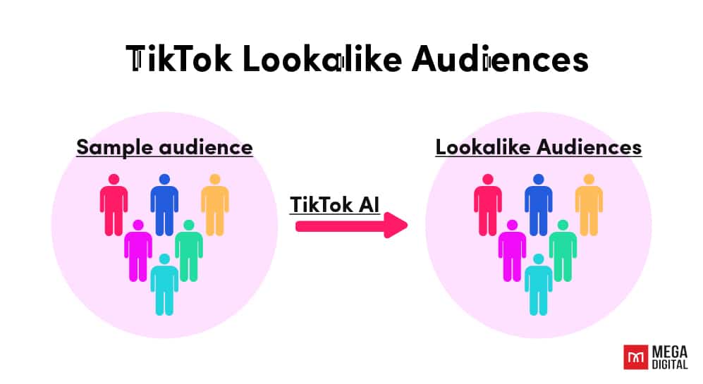 How does TikTok lookalike audience work