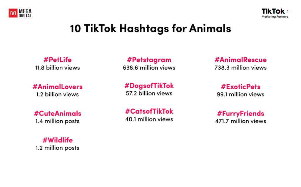 10 TikTok Hashtags for Animals