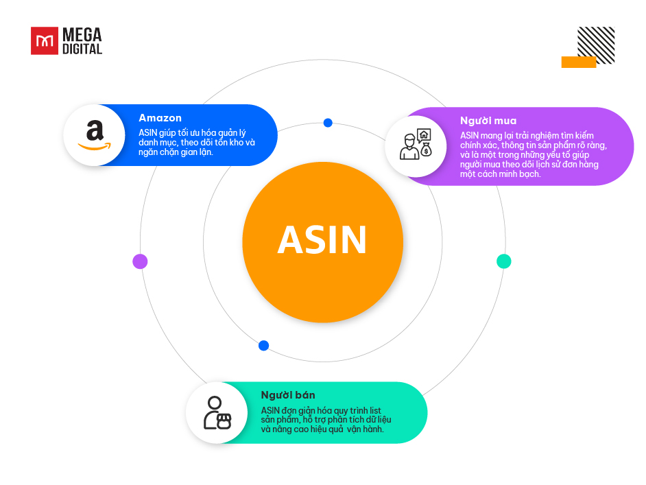 Vai trò của ASIN là gì