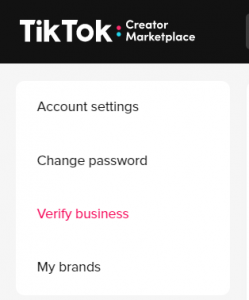 TikTok Business Account