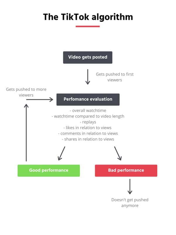 Understand the algorithm on TikTok