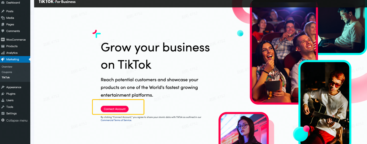 Sync and set up TikTok Catalog to WooCommerce