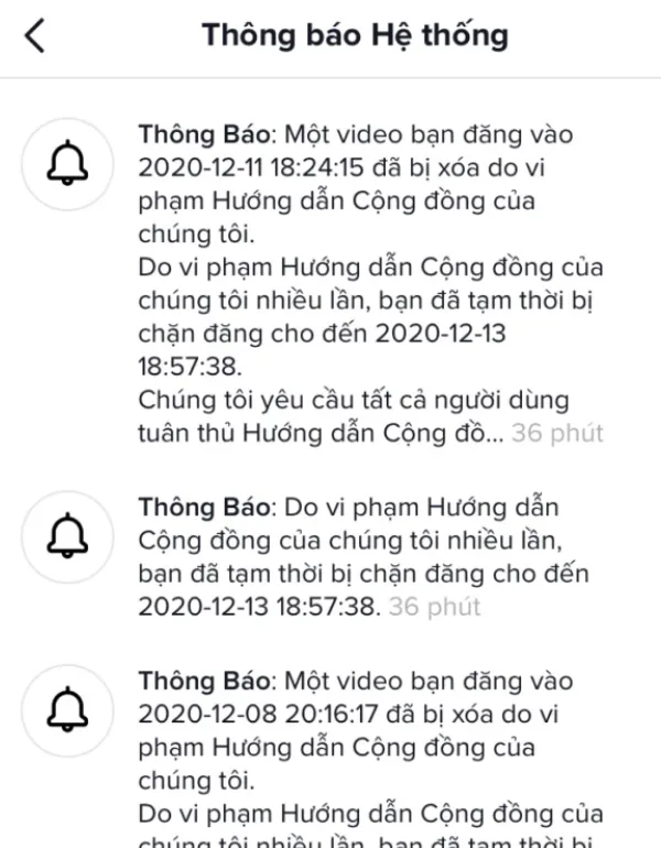 1. Hiểu rõ chính sách cộng đồng và điều khoản TikTok