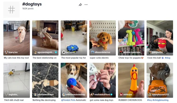 24. Dog Toys