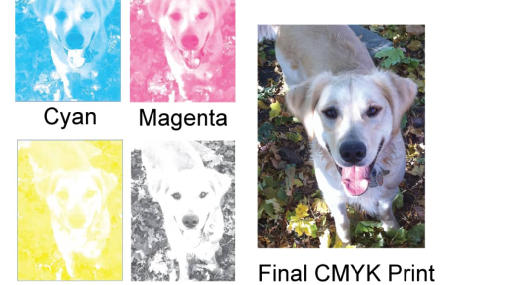 CMYK (4-Color Printing)