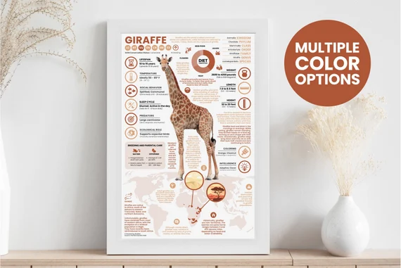 Educational Posters and Infographics