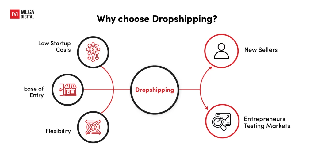 Dropshipping vs. Ecommerce: Why choose Dropshipping