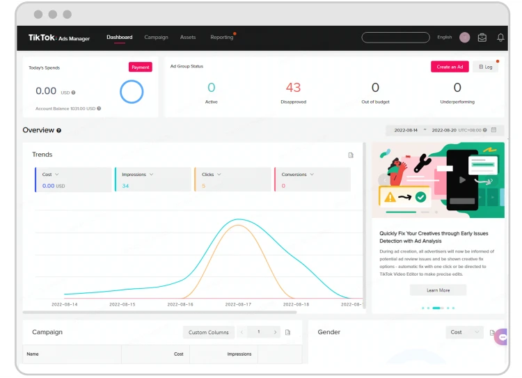 1. TikTok Ads Manager