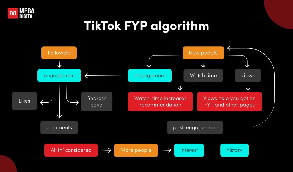 Aligning with TikTok's algorithm preferences