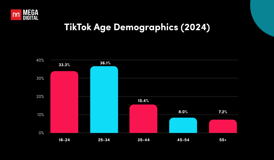 Overview of TikTok age demographics of TikTok users in 2024