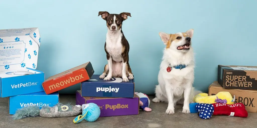 Subscription Boxes for Pets