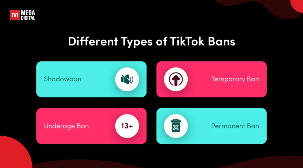 What are the different types of TikTok bans?