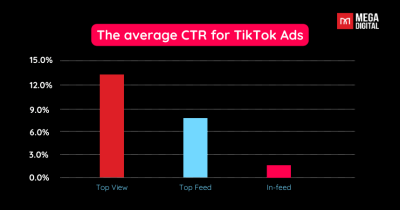 TikTok Ads Metrics: What They Mean & How to Track Them in 2026