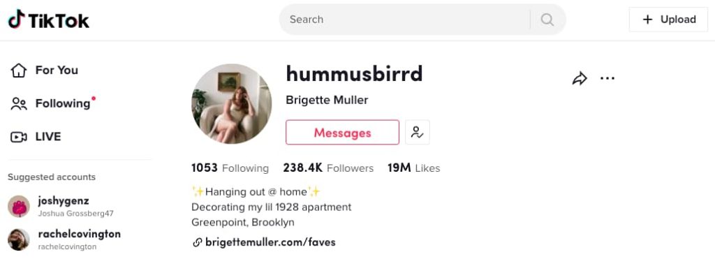 4. Aesthetic TikTok Bio Ideas