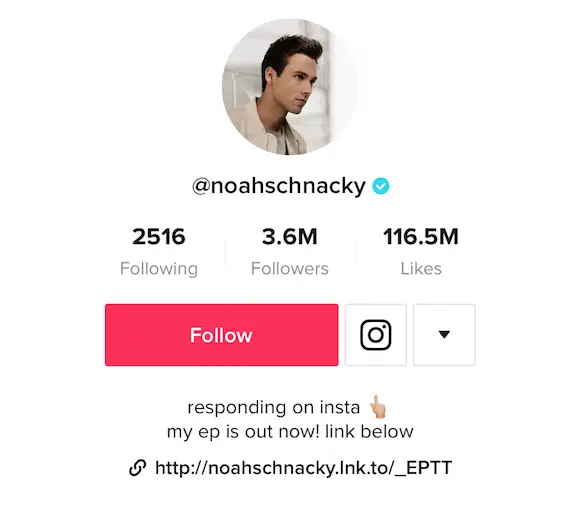 5. Cute TikTok Bio Ideas