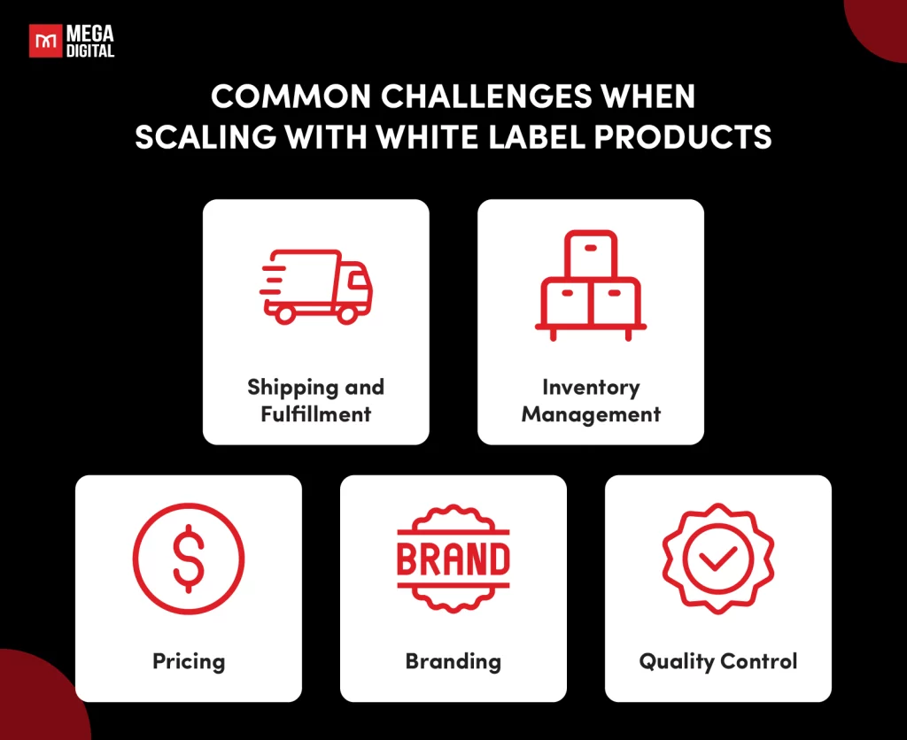 Common Challenges when Scaling with White Label Products