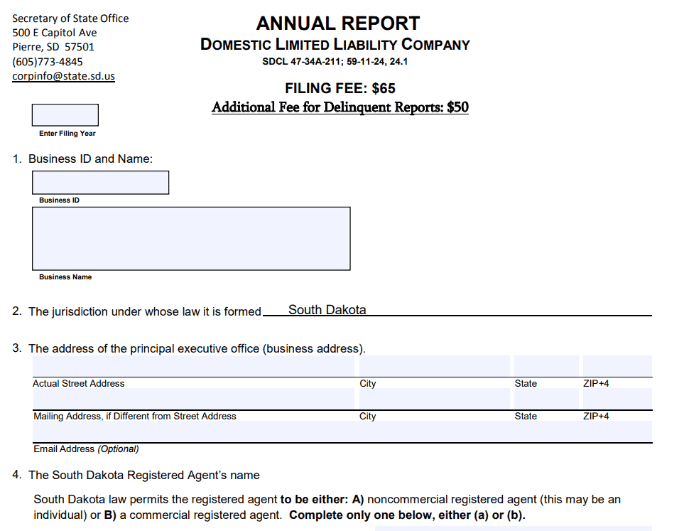 LLCs Annual Report File Template Example