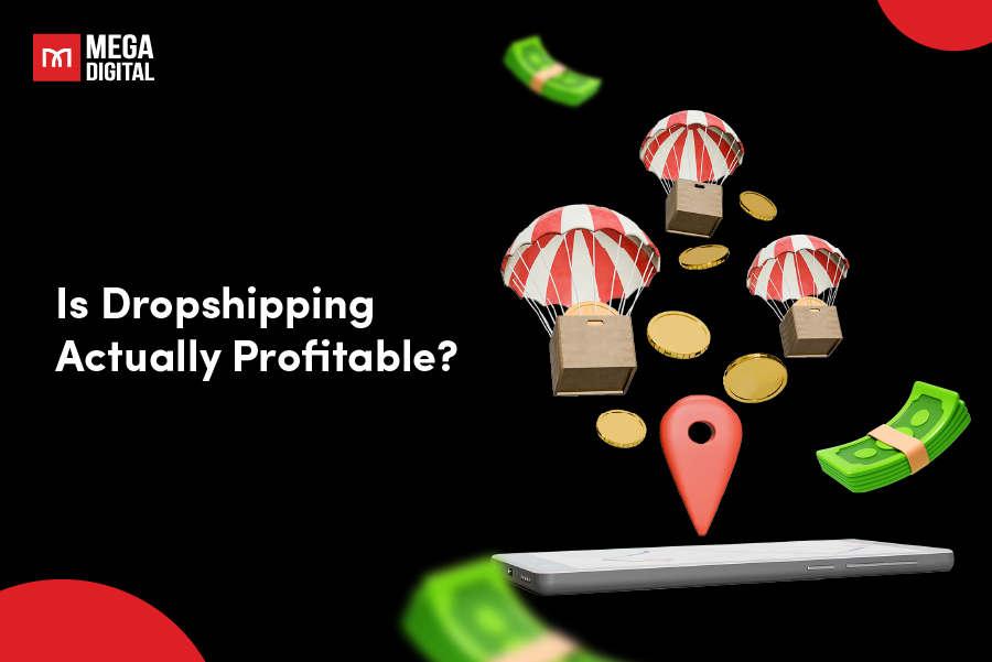 is dropshipping profitable