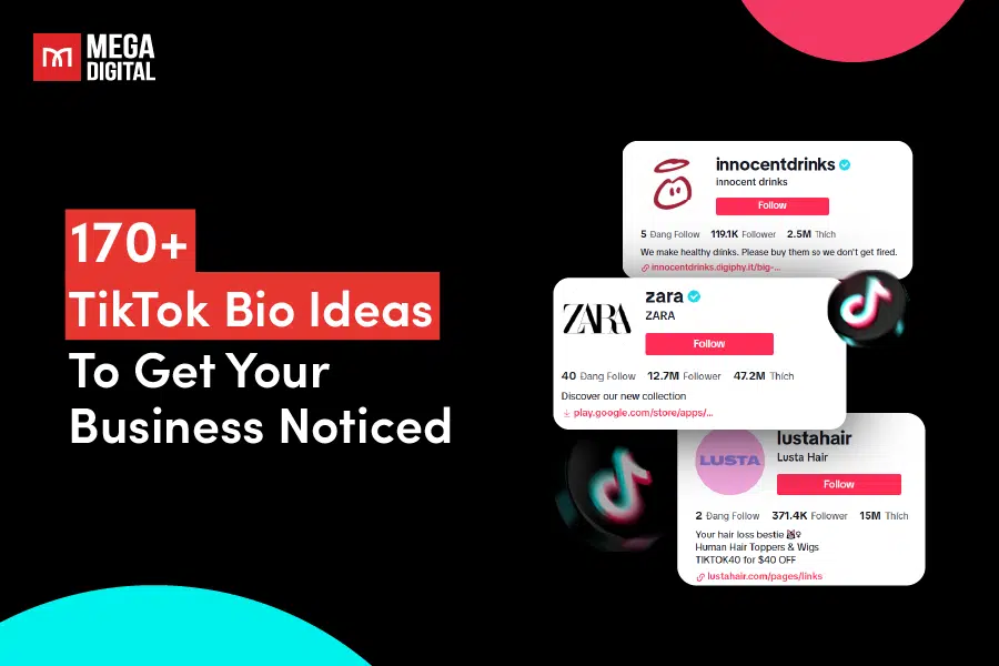 170+ TikTok Bio Ideas To Get Your Business Noticed in 2025