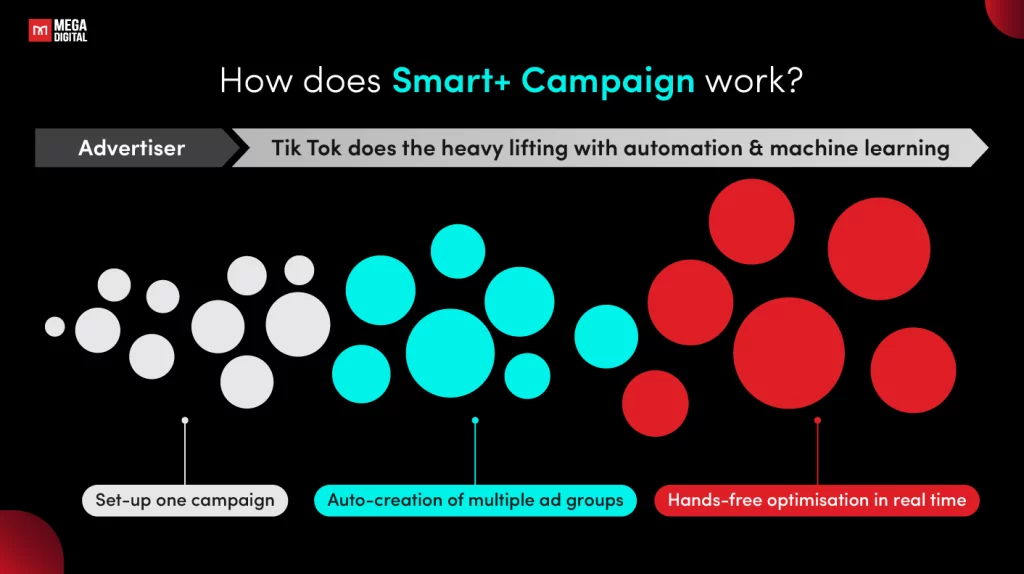 How Smart+ TikTok Ads Works?