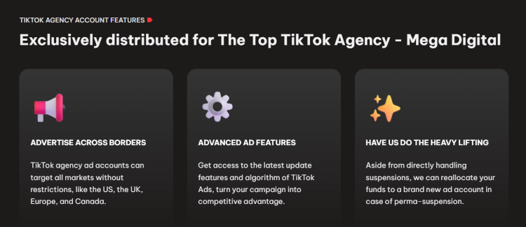 4. Features to Stand Out From The Competition