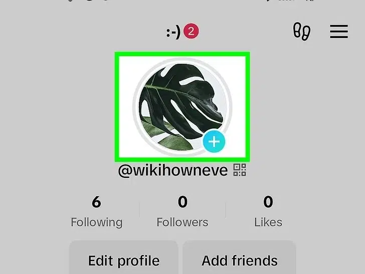 How to Delete TikTok Story Post