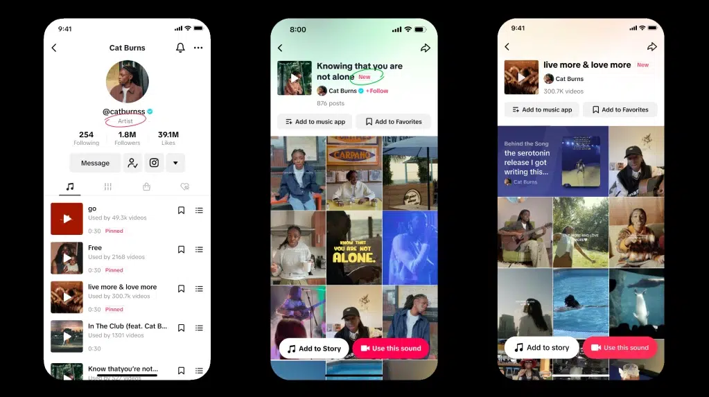 What is a TikTok Artist Account 1